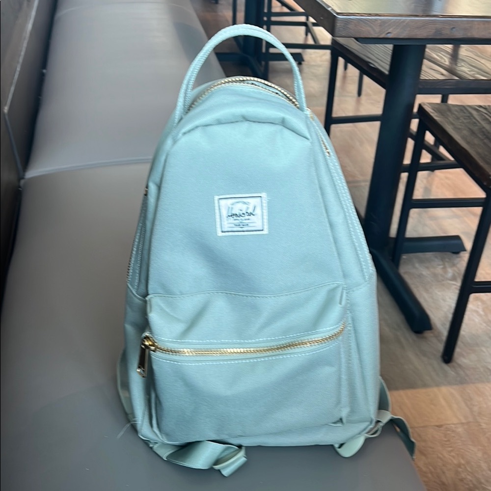 Herschel Light Green Backpack